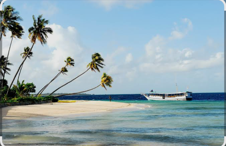 Menikmati indahnya terumbu karang di wakatobi