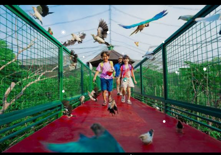 Jakarta Bird Land Ancol hadir sebagai destinasi wisata edukatif yang memikat hati