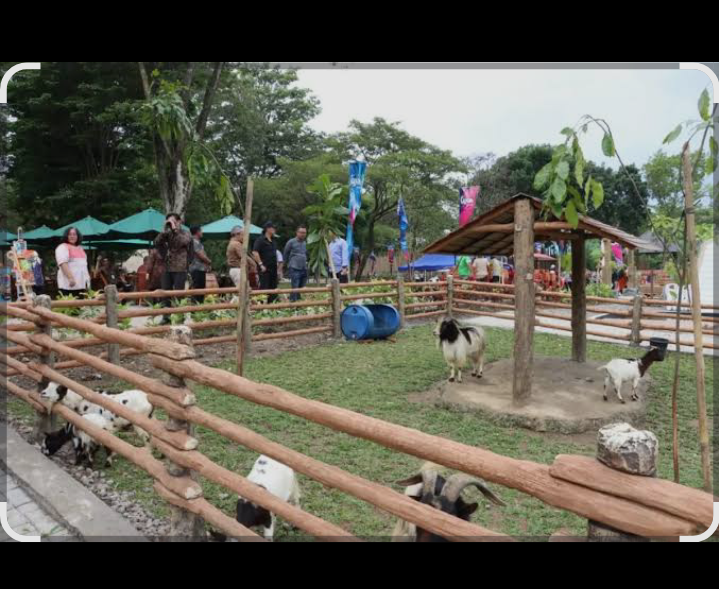 Solo Safari membawa nuansa petualangan yang lebih hidup dan imersif
