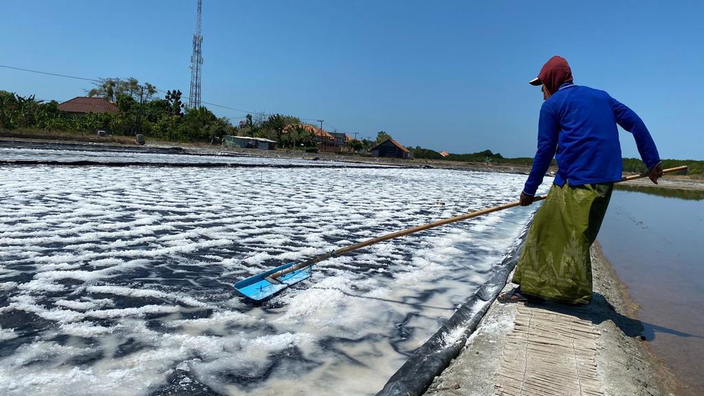KRISTAL ASIN: Seorang petani sedang mengecek kualitas garam di Desa Padelegan, Kecamatan Pademawu, Rabu (23/8).