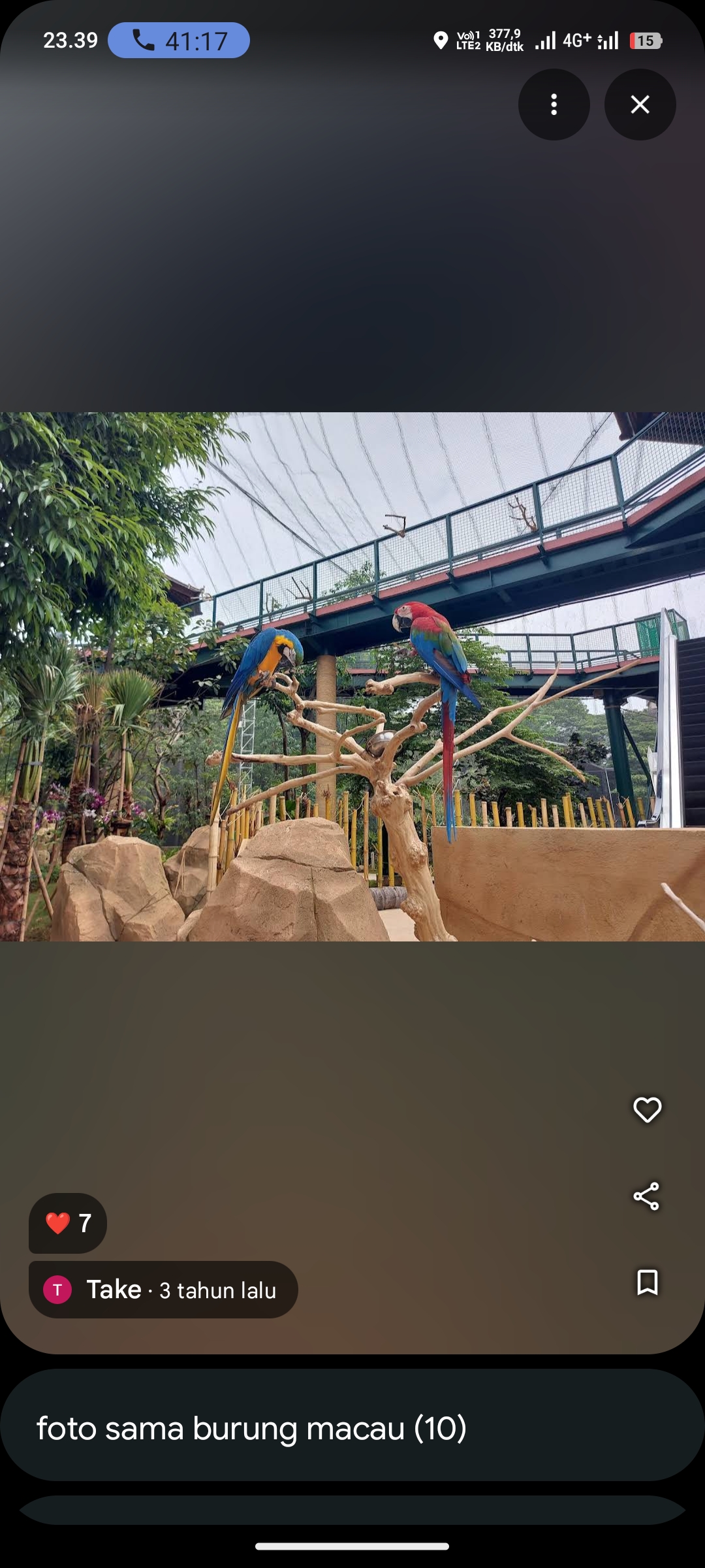 Jakarta Bird Land Ancol