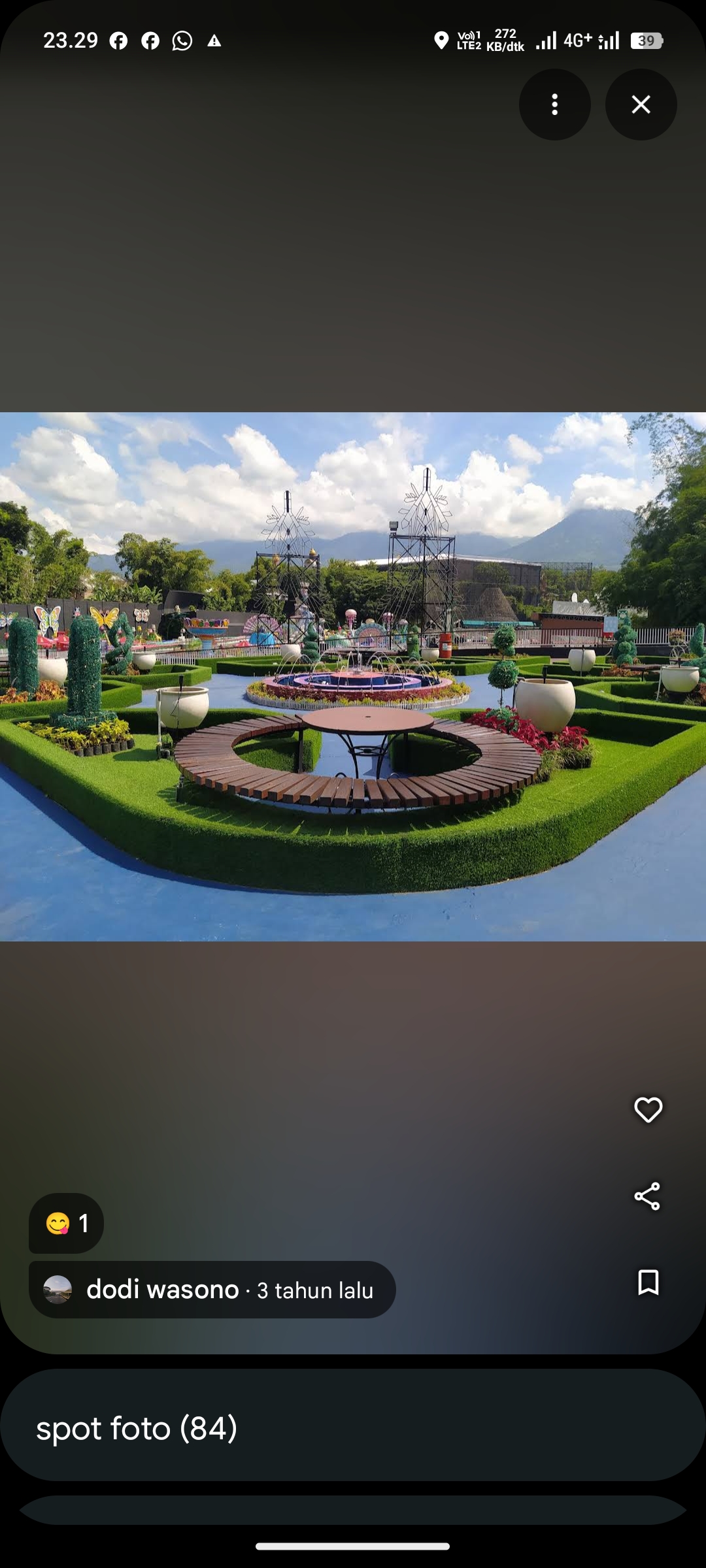 Milenial Glow Garden