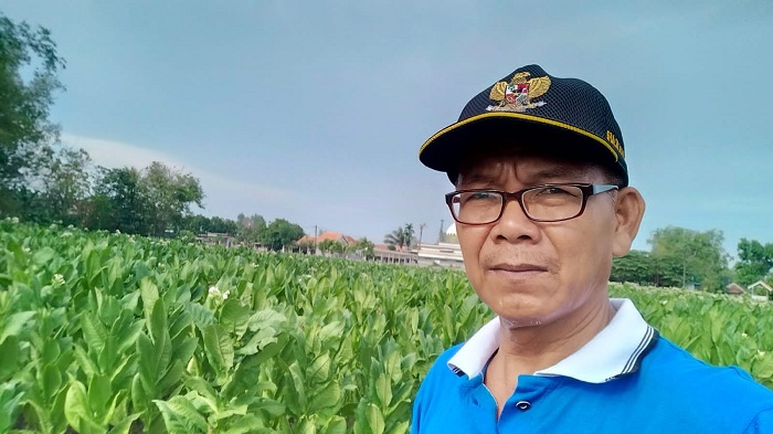 PANTAU: Ketua APTI Pamekasan Samukrah berswafoto di lahan tembakau.(SAMUKRAH UNTUK JPRM)&nbsp;