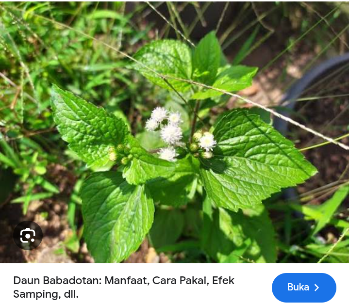 Ampuh untuk mencegah darah keluar dari hidung (mimisan)