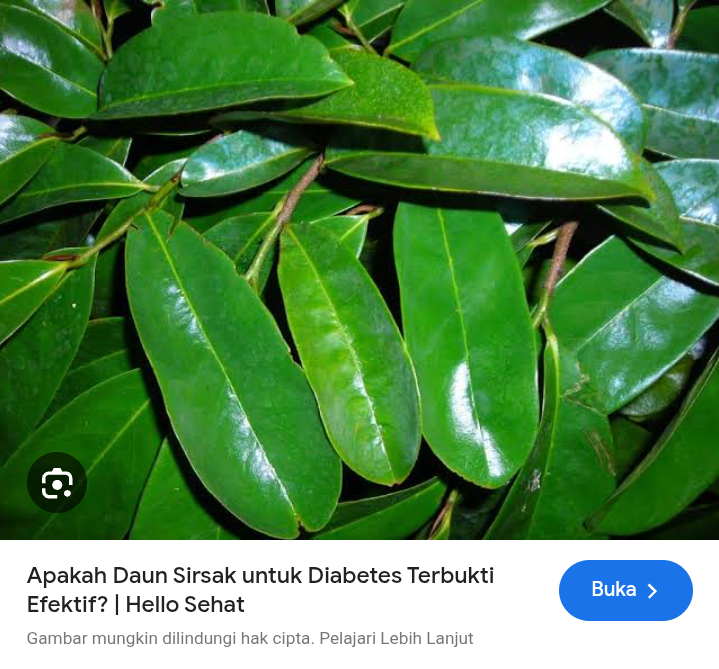 Minum rebusa daun sirsak setiap hari