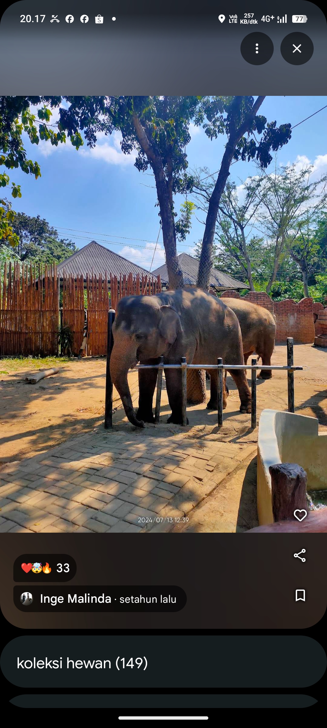 Solo Safari Zoo