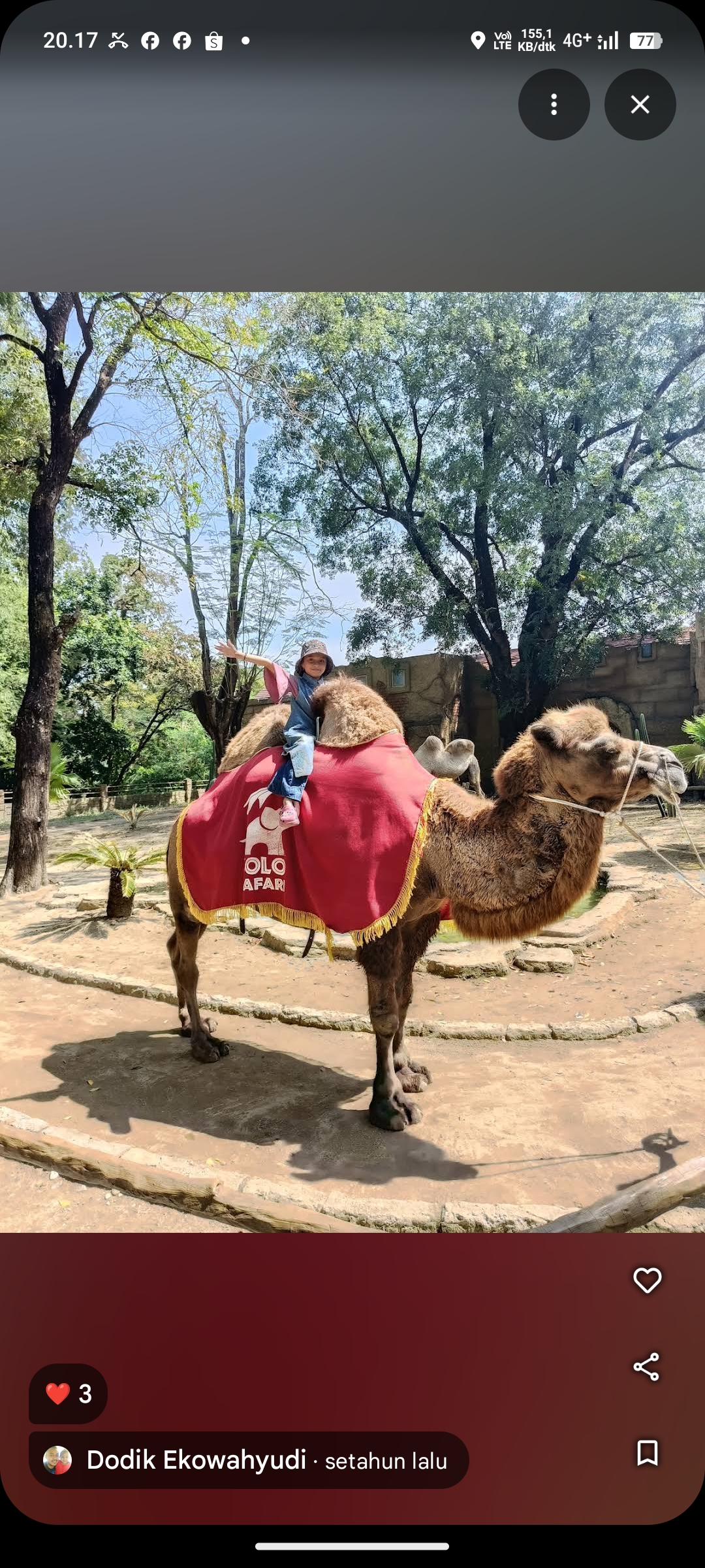 Solo Safari Zoo