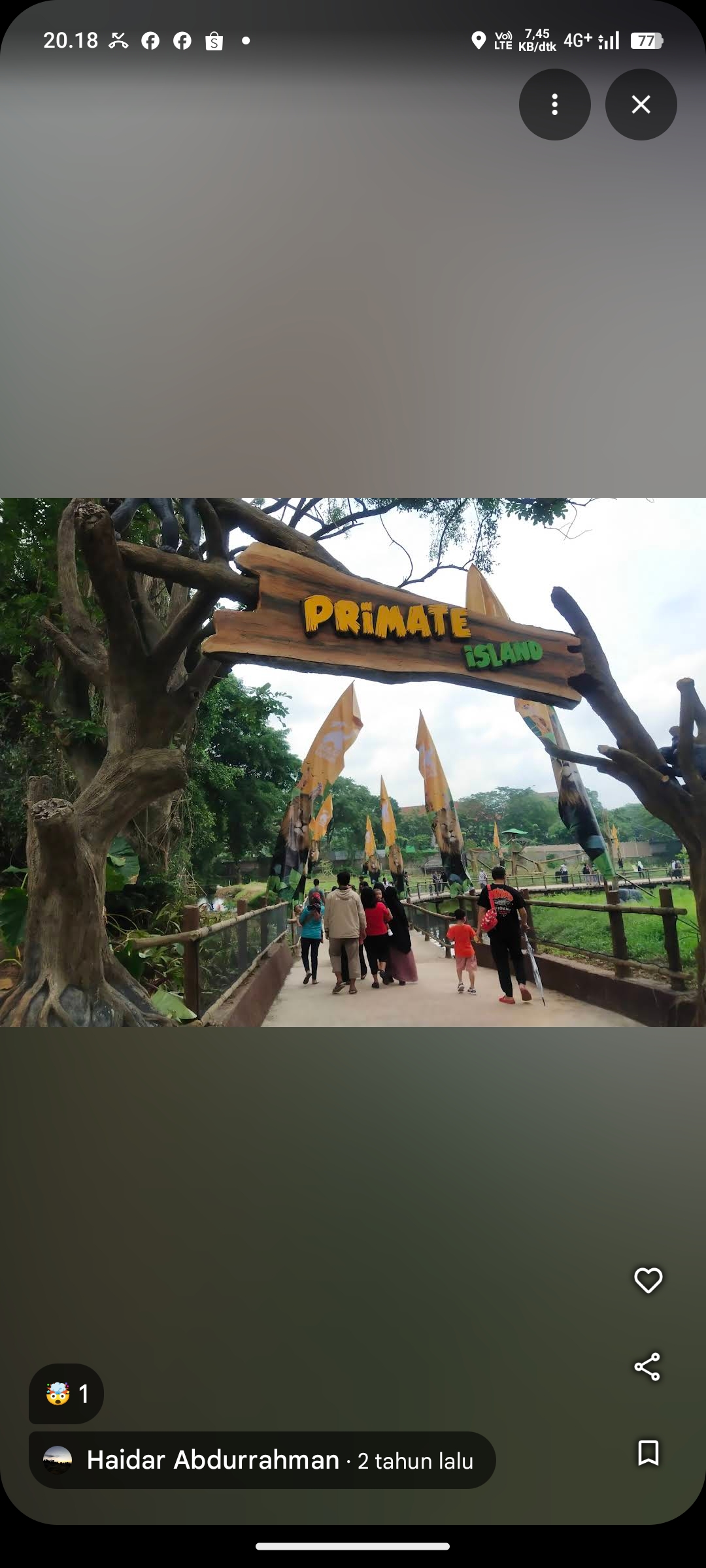 Solo Safari Zoo