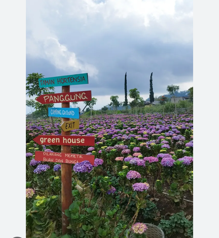 Salah satu yang paling banyak diburu adalah keripik sayur khas Kota Batu