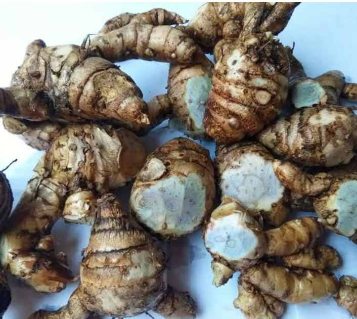 Khasiat temu ireng untuk kulit dan tubuh sehat