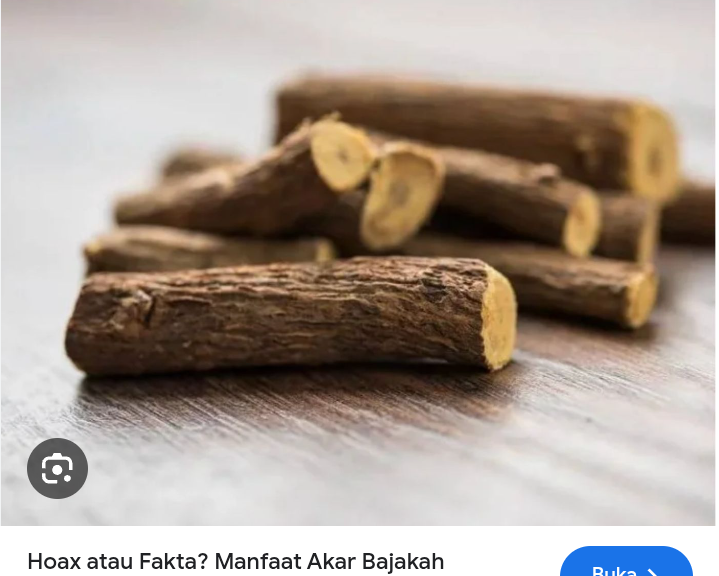 Daftar harga tanaman akar bajakah