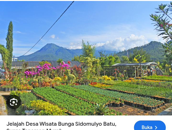 Deretan umkm di sekitar wisata bunga sidomulyo