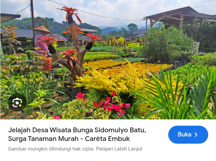 Berbagai macam bunga di wisata bunga sidomulyo