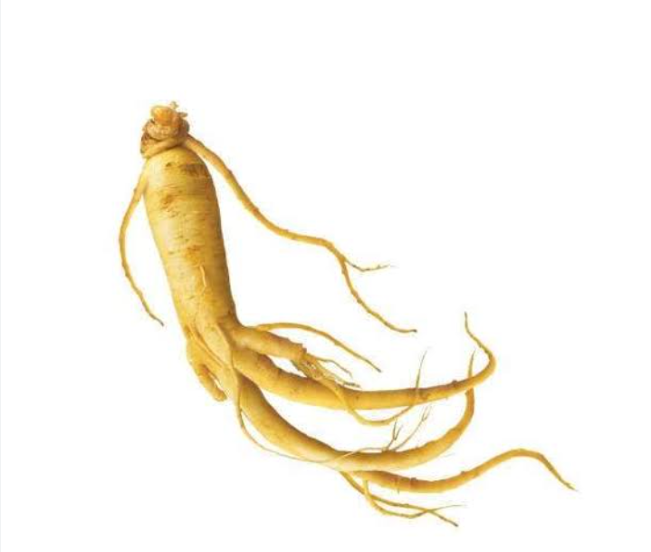Beberapa makanan pendamping ginseng agar khasiatnya lebih optimal