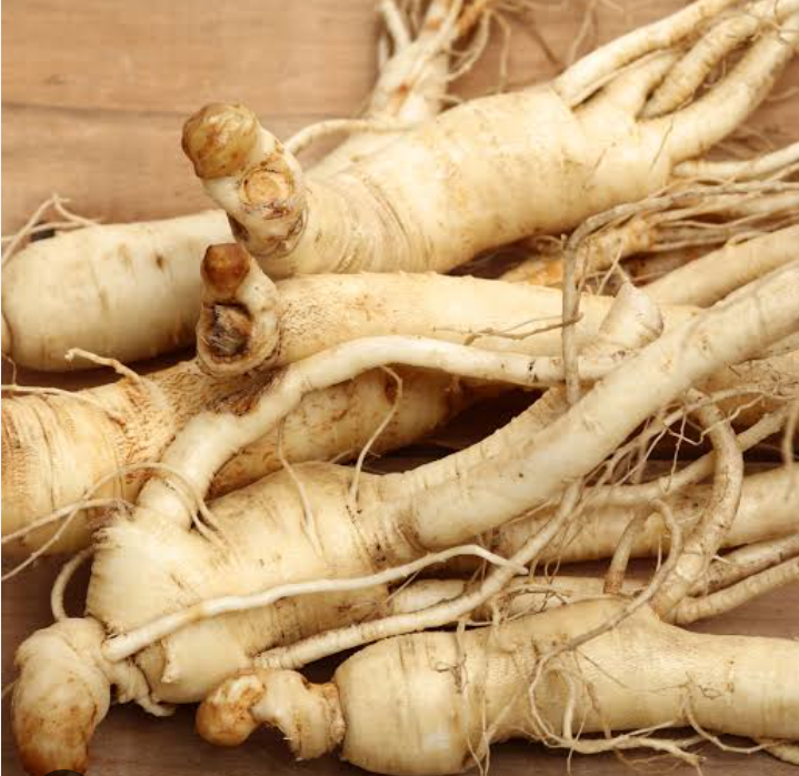 Cara mengolah ginseng agar tahan lama