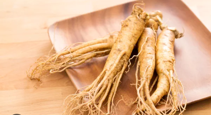 Cara menanam ginseng di rumah