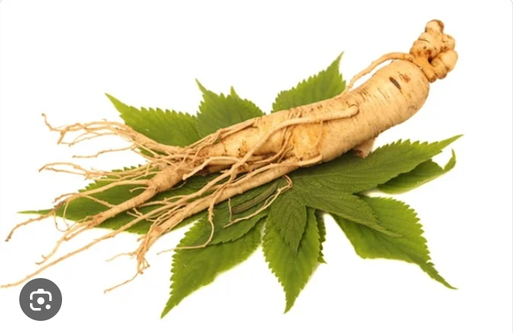 Manfaat ginseng