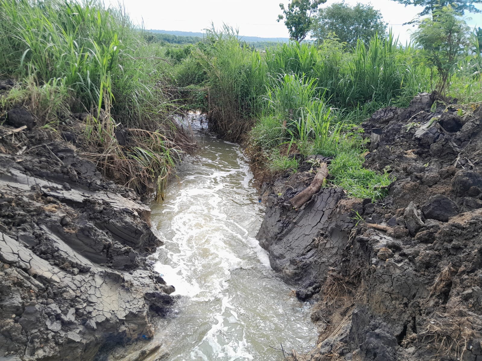 JADI PERHATIAN: Air dari waduk sekunder PT Garam mengalir ke Sungai Kali Saroka, Sumenep, Kamis (4/12).