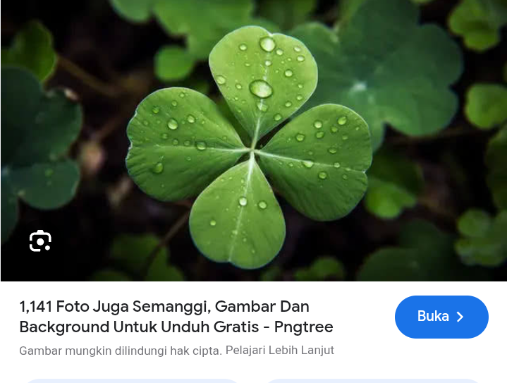 Cara bikin ramuan alami dari daun semanggi untuk mengatasi kolestrol jahat