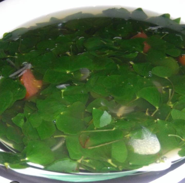 Resep kuah dari daun semanggi
