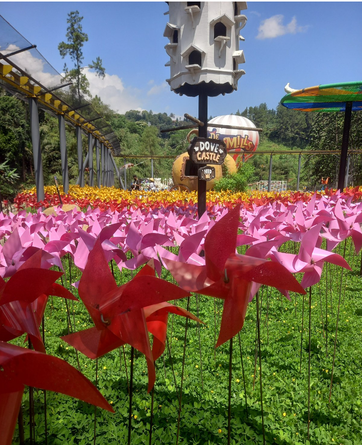Liburan seru di diaryland puncak