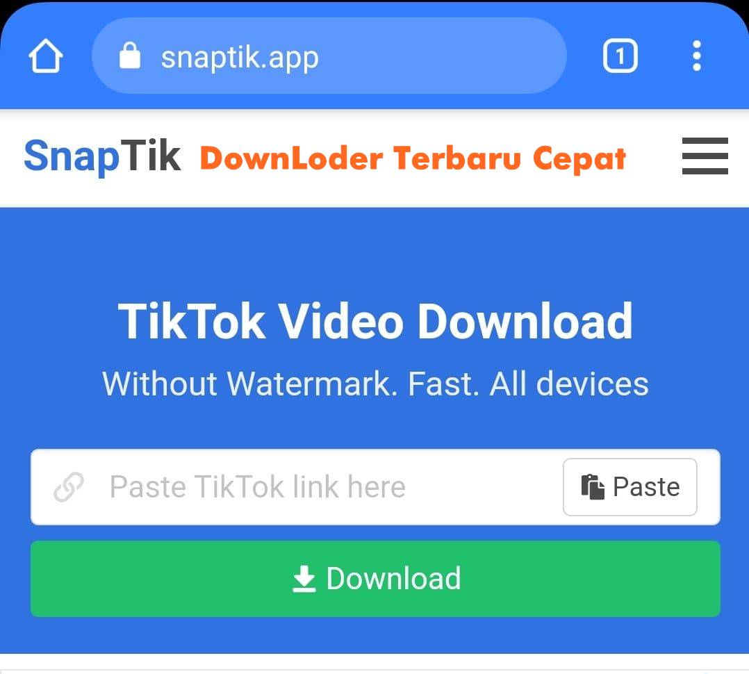Tampilan snaptik, tiktok video download