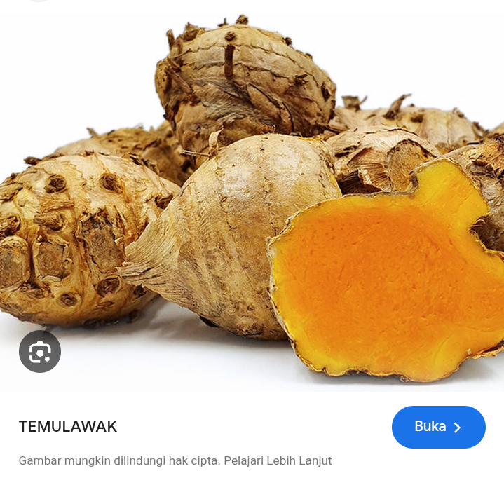 Manfaat temulawah untuk melindungi hati