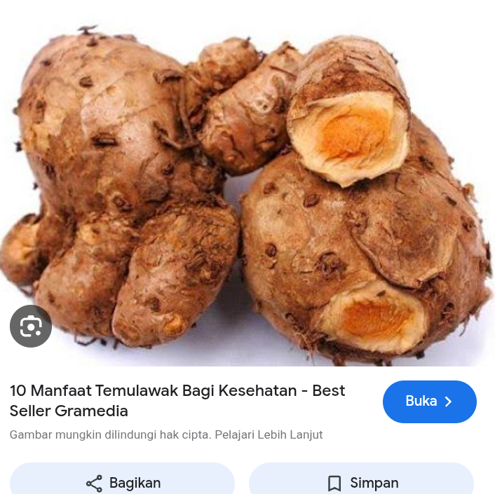 Temulawak sangat bermanfaat bagi kesehatan