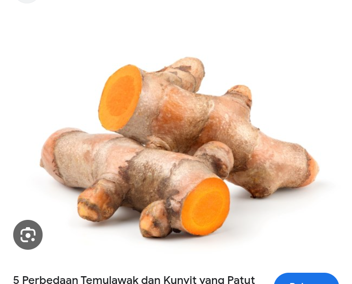 Perbedaan kunyit dan temulawak