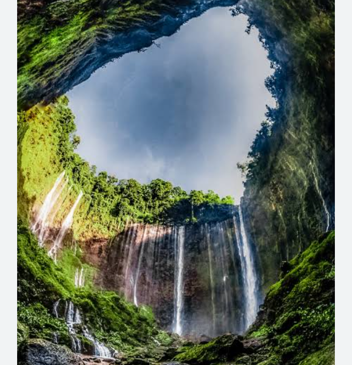 Homestay atau villa dekat air terjun tumpak sewu