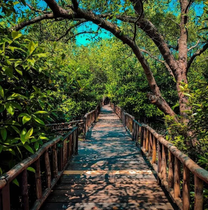 Fasilitas baru di mangrove wonorejo