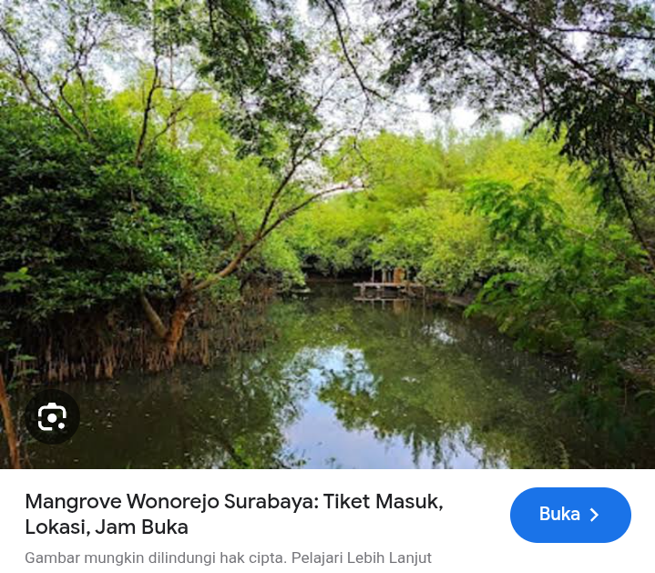 Naik perahu di mangrove wonorejo