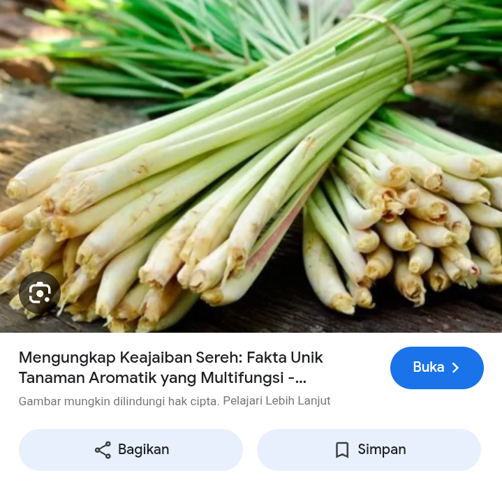 Manfaat serai