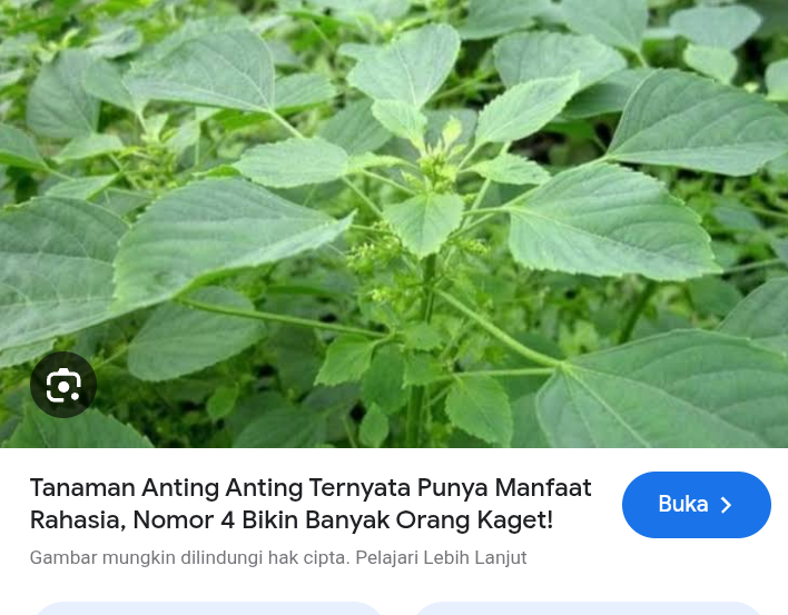 Manfaat anting anting