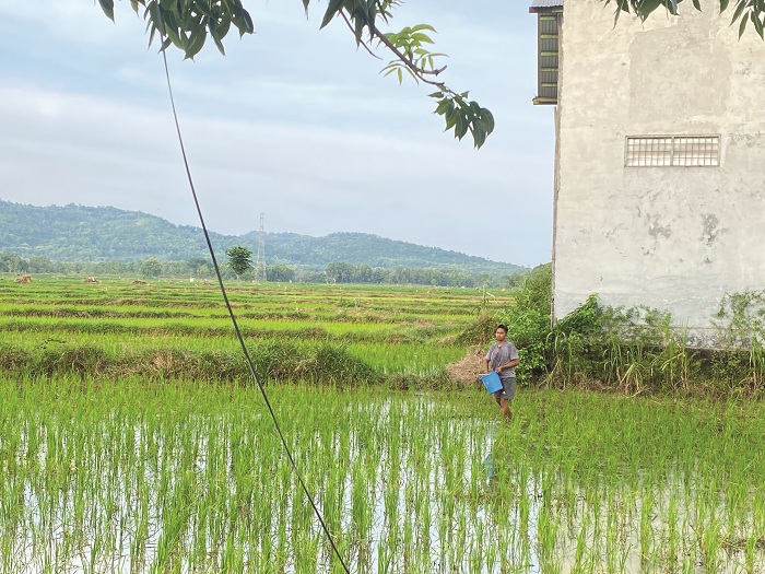 KETAHANAN PANGAN: Petani saat menabur pupuk di Desa Jungkarang, Kecamatan Jrengik, Sabtu (13/12). (AYU LATIFAH/JPRM)