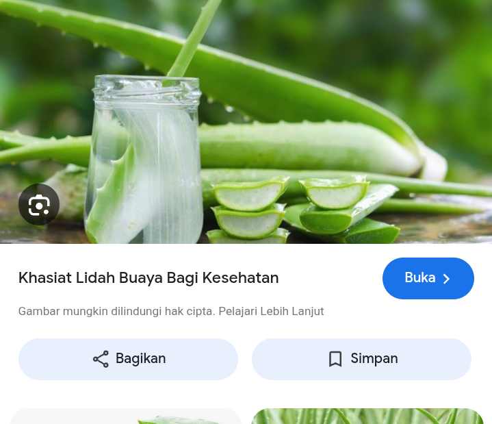 Atasi bekas luka dengan lidah buaya