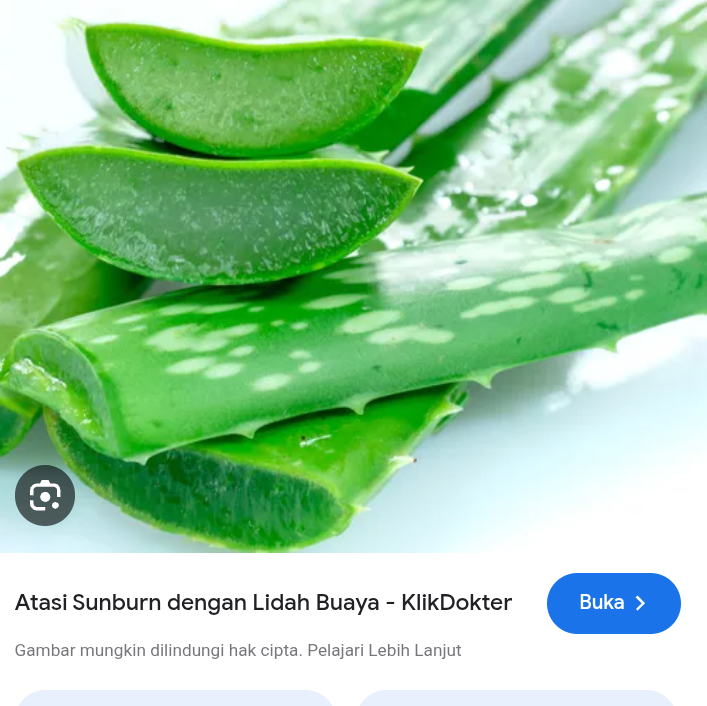 Cara menyimpan lidah buaya agar tetap segar
