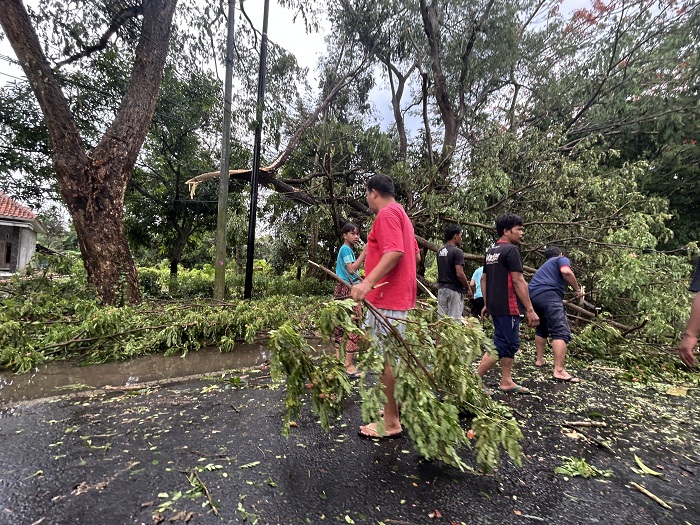 MENUTUPI JALAN: Warga membersihkan ranting pohon yang tumbang di Jalan Raya Keleyan, Kecamatan Socah, Jumat (5/10). (VIVIN AGUSTIN HARTONO/JPRM)