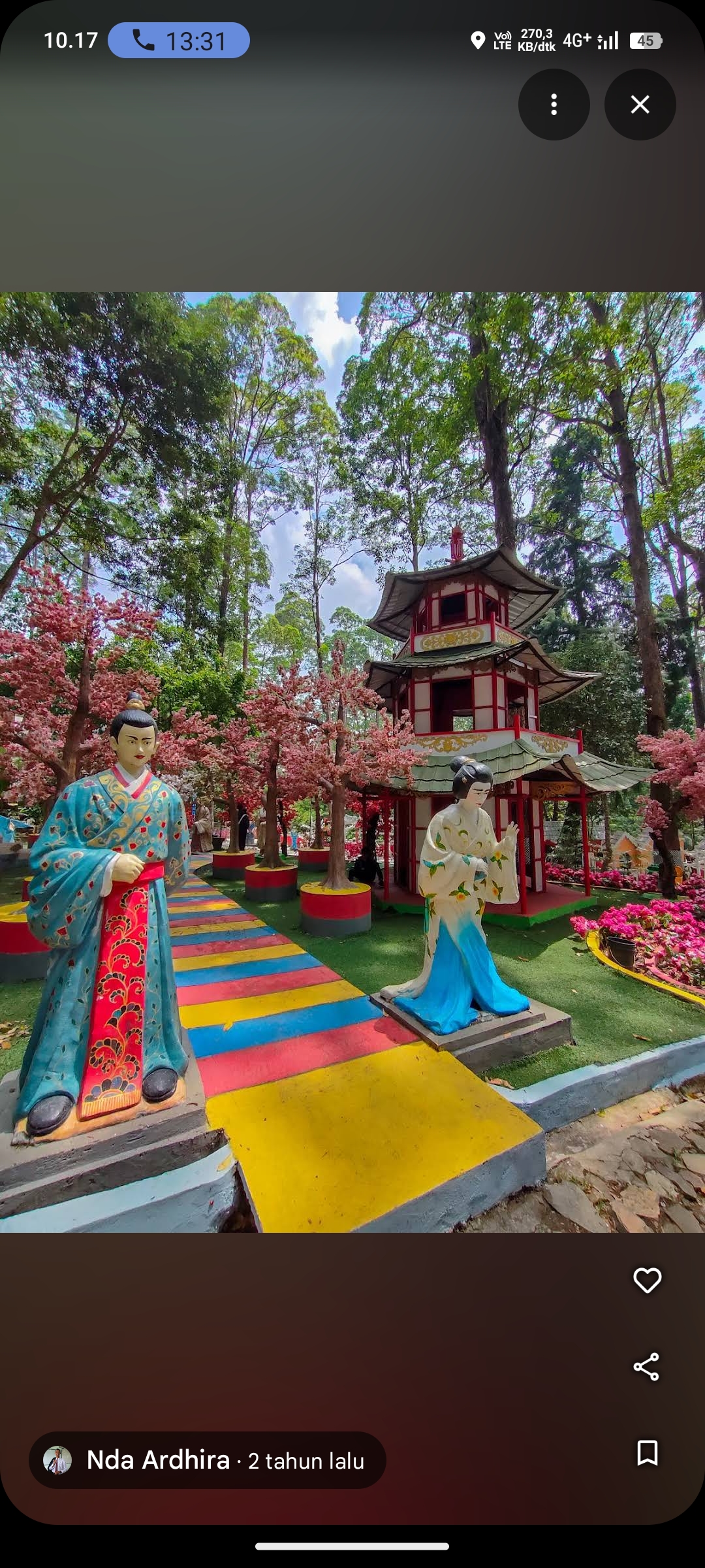 Lawu Green Forest