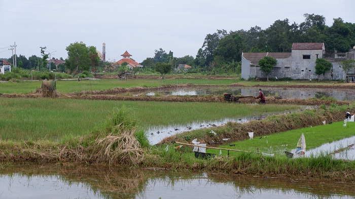 MODERN: Petani membajak sawah menggunakan hand tractor di sawahnya di Desa Bilaporah, Kecamatan Socah, Selasa (16/12). (VIVIN AGUSTIN HARTONO/JPRM)