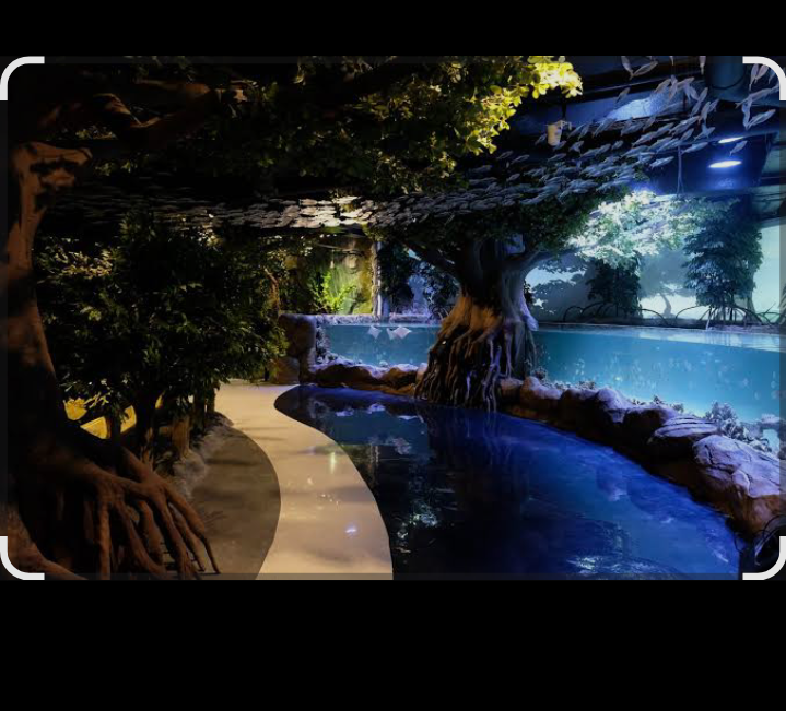 Harga tiket terbaru di jakarta aquarium safari