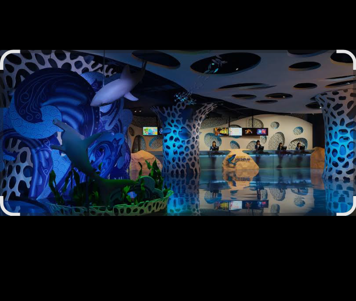 Aturan dan larangan saat berkunjung ke jakarta aquarium safari
