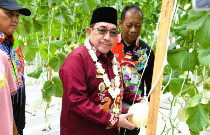 Wabup Resmikan Kawasan Pertanian Hortikultura Berbasis Smart Farming