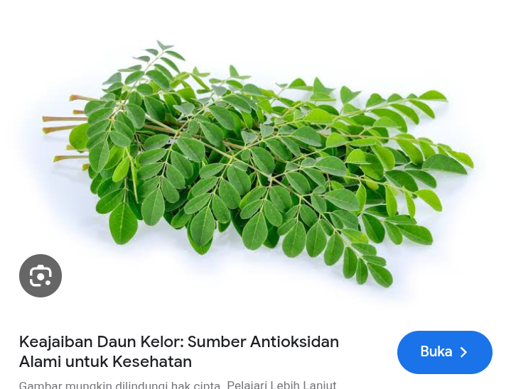 Daun kelor efektif turunkan kolestrol