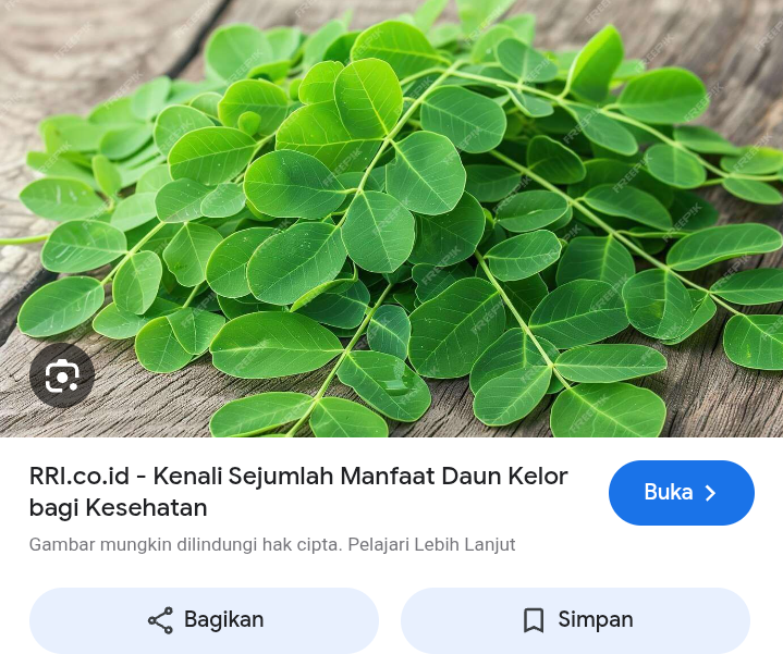 Nutrisi dan gizi lengkap di daun kelor