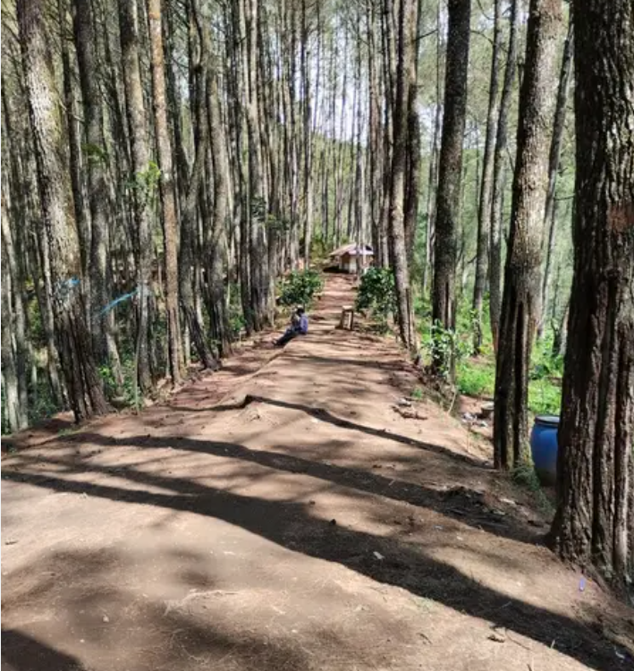 Camping seru di karacak vallew