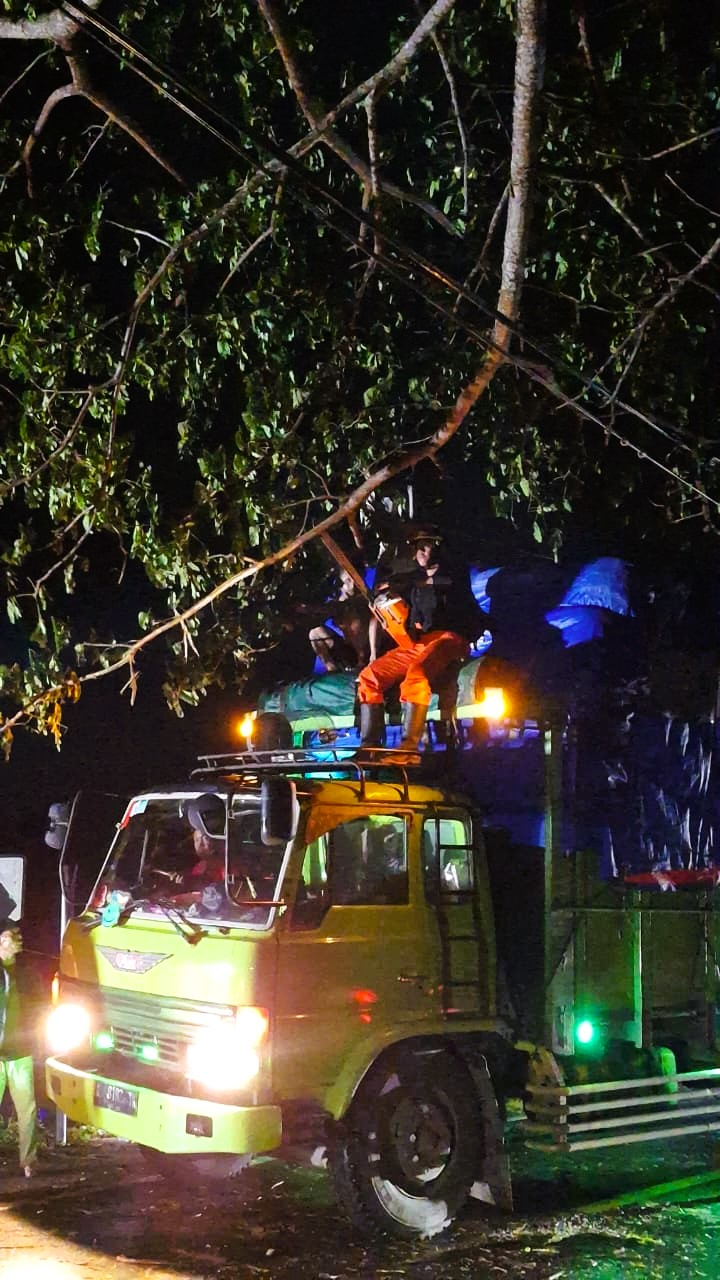 PENANGGULANGAN: Petugas saat mengevakuasi pohon tumbang di Desa Tlagah, Kecamatan Banyuates, Selasa (23/12).