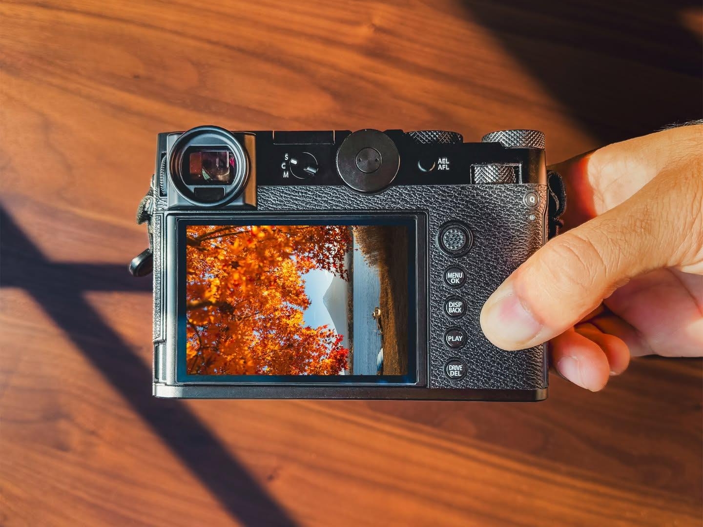 Simak tips memilih kamera untuk fotografer pemula