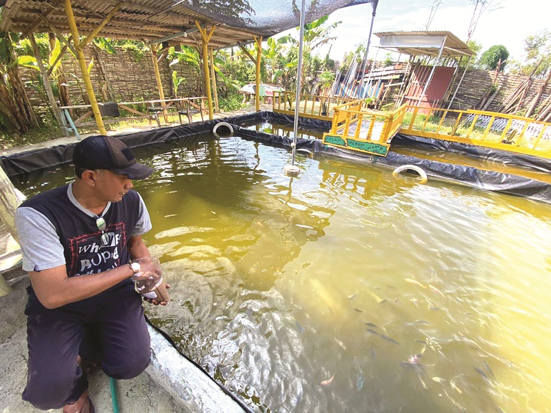 BUDI DAYA: M. Wahyudi Setiawan memberikan pakan ikan di kolam Kelurahan Dalpenang, Kecamatan Sampang, Kamis (29/1). (AYU LATIFAH/JPRM)