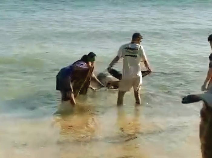 MENGAPUNG: Warga mengevakuasi mayat seorang pria tanpa identitas di pesisir Desa Sepanjang, Kecamatan Sapeken, Sumenep, Kamis (29/1). (POLRES SUMENEP UNTUK JPRM)
